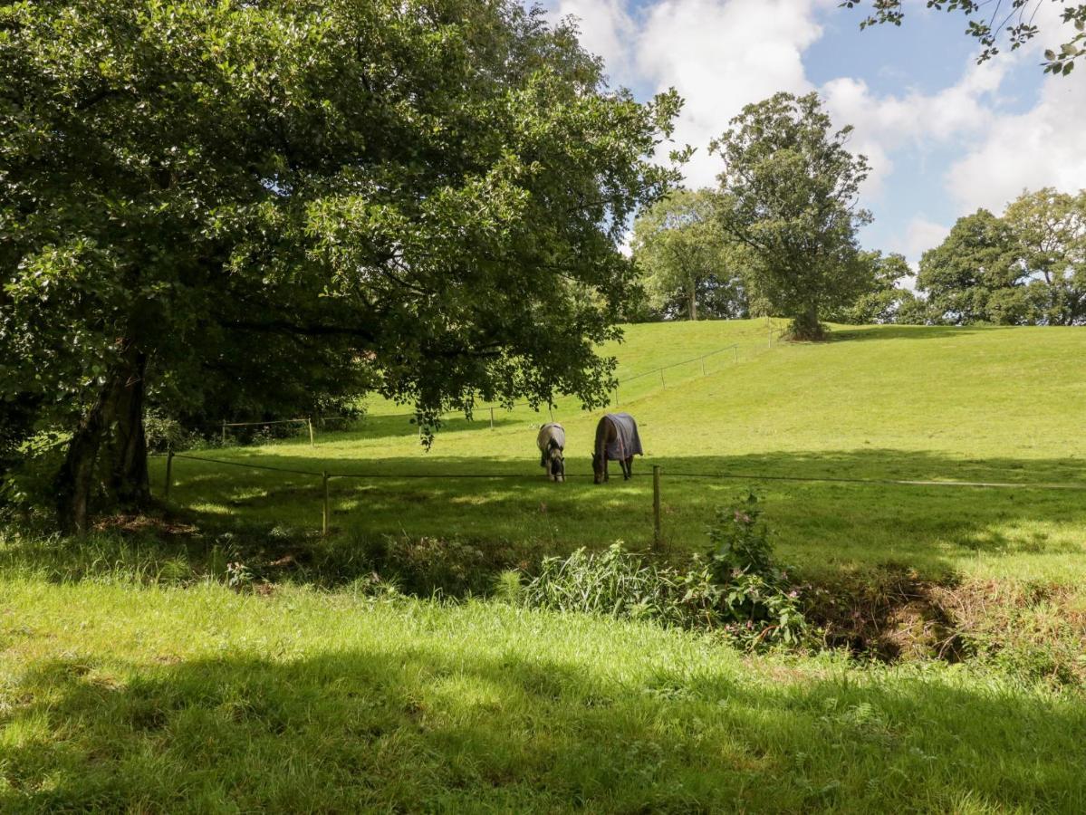 Bluebell Holiday home